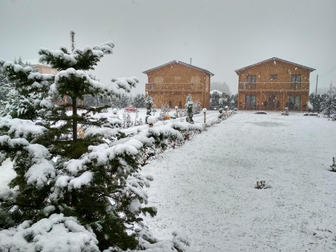 Kastor Chalets Ampelokipoi  Exterior photo